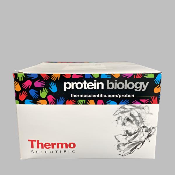 Thermo Scientific Protein Concentrator 3K MWCO PES 20 ml Total of 9 Tubes