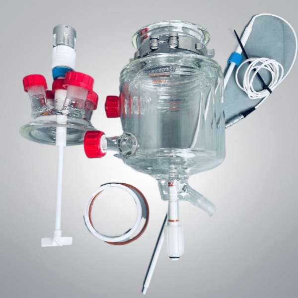 Radleys Vacuum Jacketed Process Vessel Kit 1 L with Stirrer and Probe