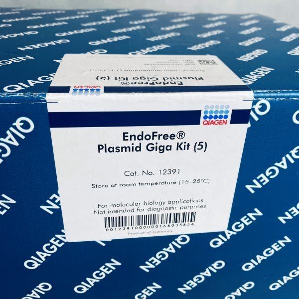 Qiagen 12391 Endofree Plasmid Giga Kit