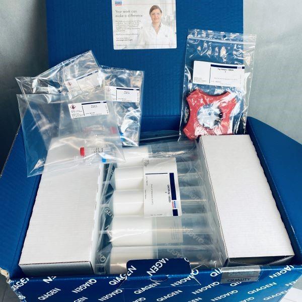 Qiagen 12391 Endofree Plasmid Giga Kit