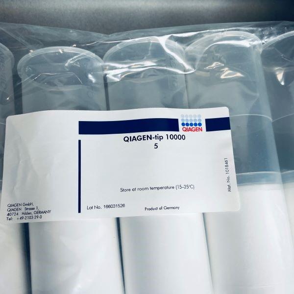 Qiagen 12391 Endofree Plasmid Giga Kit