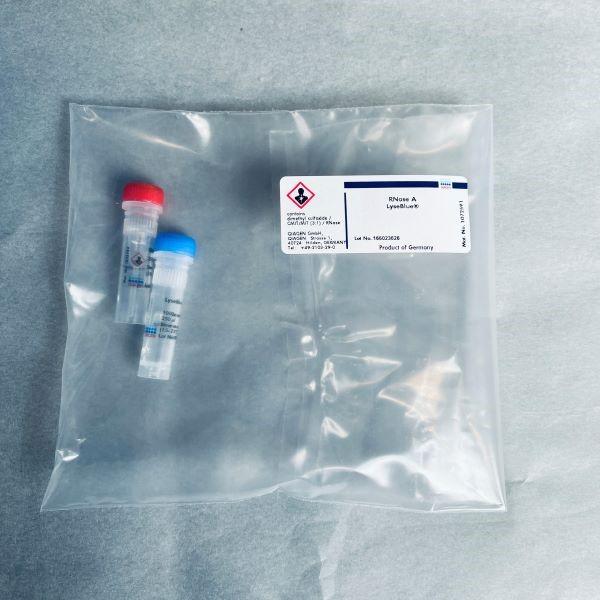 Qiagen 12391 Endofree Plasmid Giga Kit