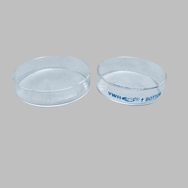 VWR Glass Petri Dish 60 x 15 mm 15 Complete Sets and 4 Lids