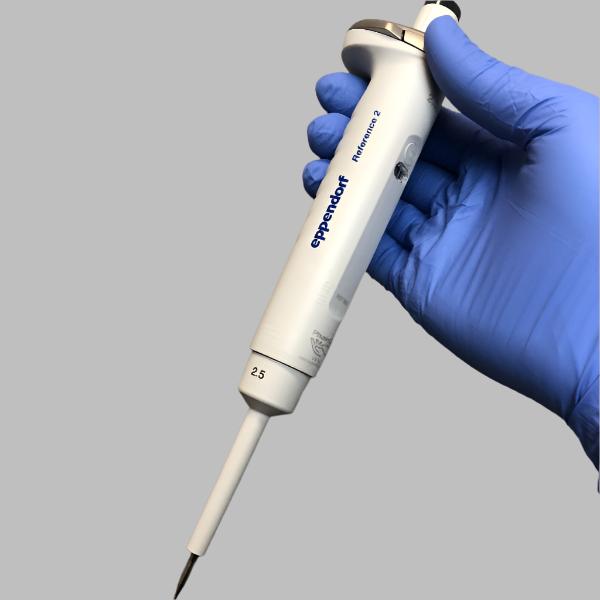 Eppendorf Reference 2 Pipette Adjustable 2.5 ul Single Channel