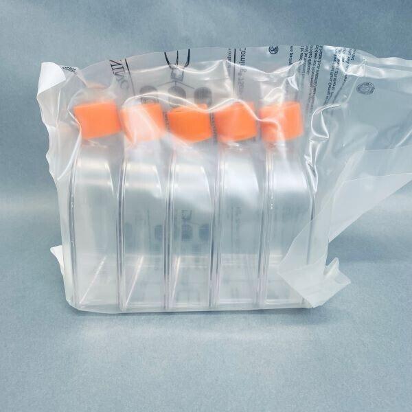 Corning Cell Culture Flask 75 cm2 Canted Neck Treated Case of 100 Flasks