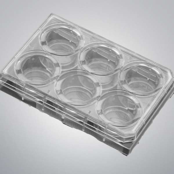 Corning 354652 Microplate Gelatin 6 Well Flat Bottom with Lid Pack of 5 Plates