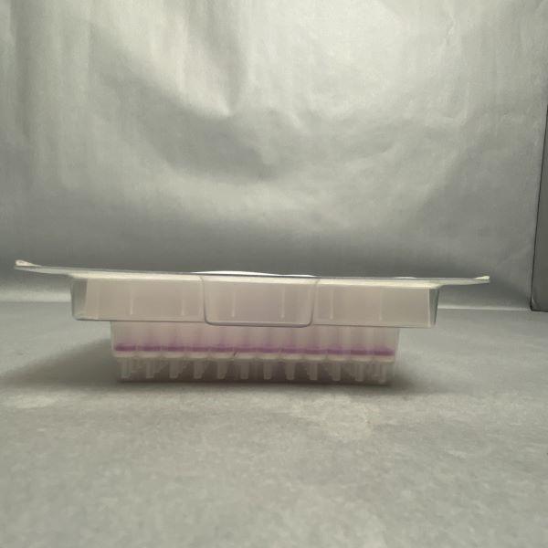 Macherey-Nagel NucleoSpin Plasmid Filter Microplate Total of 9 Plates