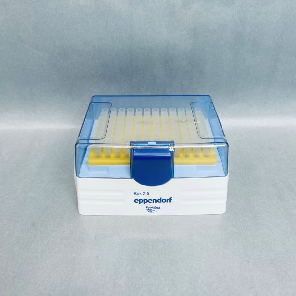 Eppendorf Pipette Tips 200 ul epTIPS Sealed 3 Racks