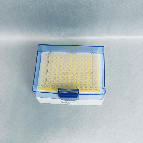 Eppendorf Pipette Tips 200 ul epTIPS Sealed 3 Racks