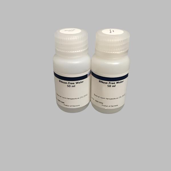 Qiagen 74181 RNeasy 96 Kit (4)