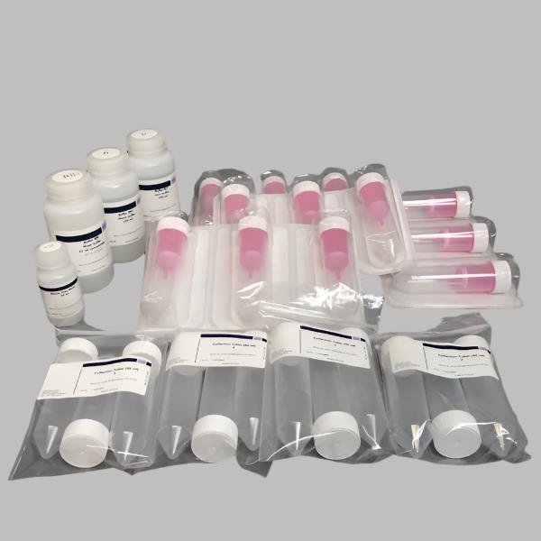 Kit Qiagen RNeasy Maxi (12)