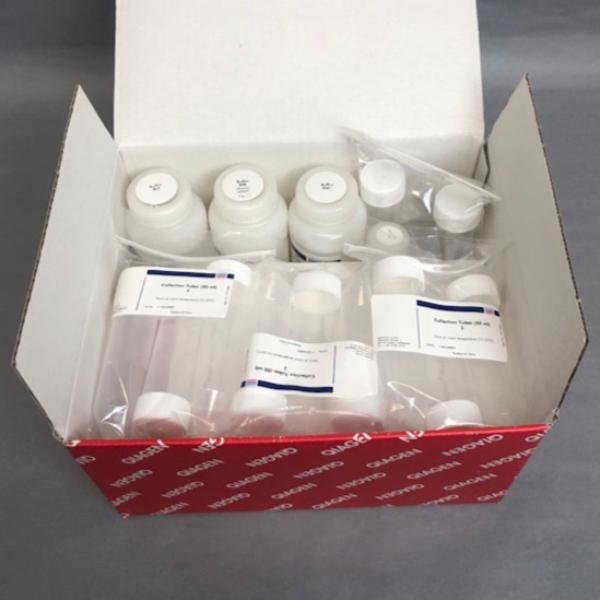 Kit Qiagen RNeasy Maxi (12)