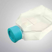 ABM Flask with Filter Cap PriCoat T75 10 Flasks Lab Culture Flask ABM
