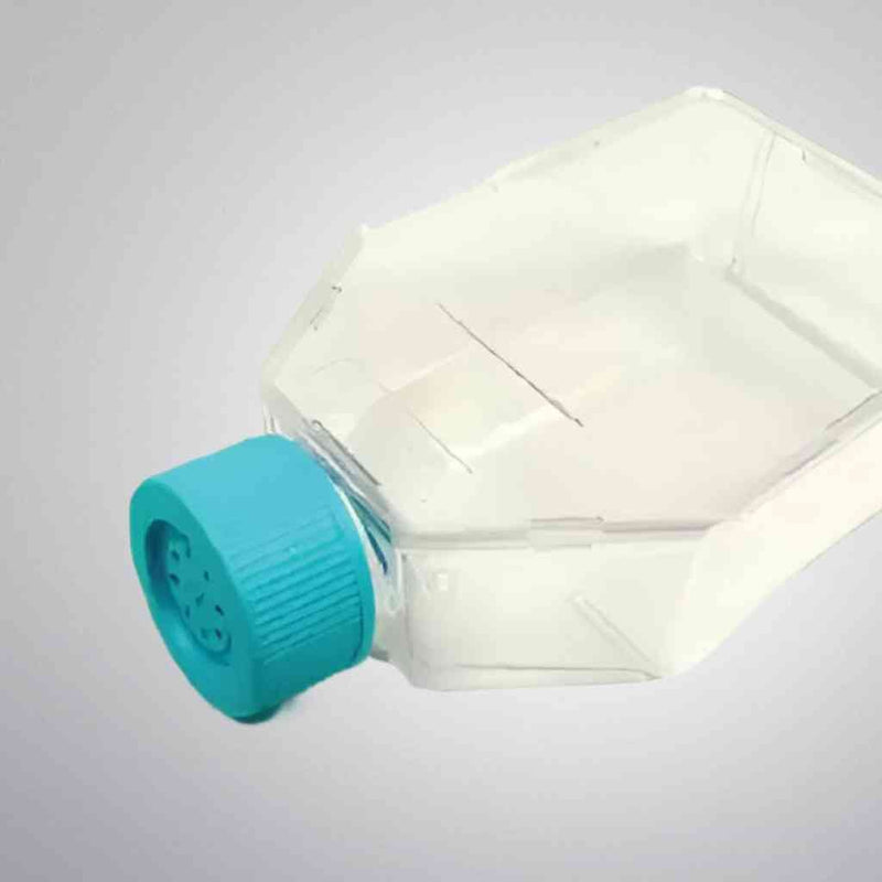 ABM Flask with Filter Cap PriCoat T75 10 Flasks Lab Culture Flask ABM