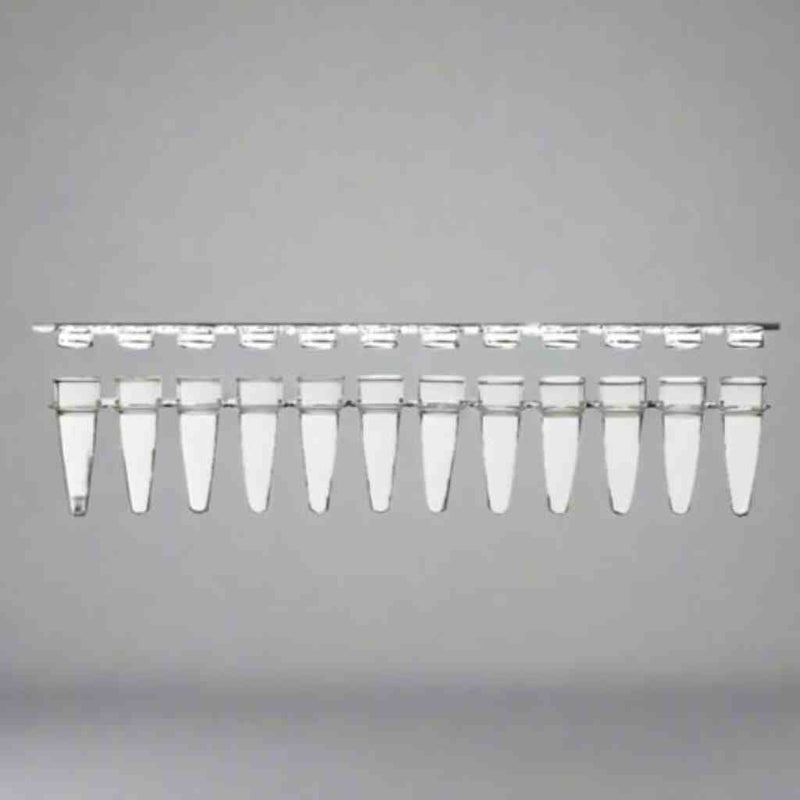 ACTGene 12 Tube Strip with Flat Caps Thin Wall 0.2 ml 80 Strips Centrifuge Tubes ACTGene