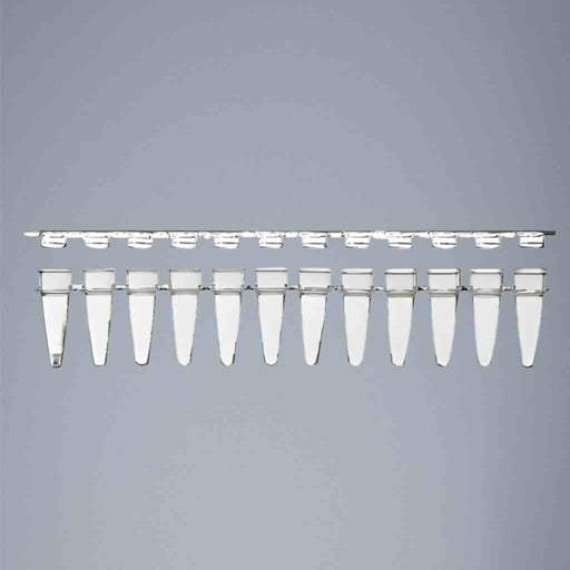 ACTGene 12 Tube Strip with Flat Caps Thin Wall 0.2 ml 80 Strips Centrifuge Tubes ACTGene