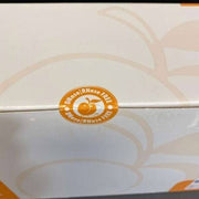 Apricot Pipette Tips 550 ul EZ Load Filtered Apricot S1 S2 S3 PP5 IPPA 20 Racks Pipettes Apricot
