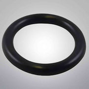 Avanti O-rings for Mini-Extruder 2 Packs of 2 O-rings - Total of 4 O-rings Other Medical & Lab Equipment Avanti