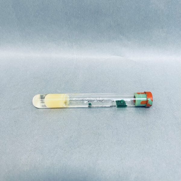 Becton Dickinson Vacutainer CPT 8 ml Case of 60 Tubes Blood Collection Tubes Becton Dickinson