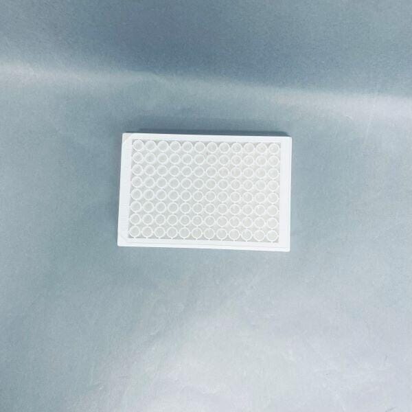 Berthold Technologies Microplate White 96 Well with Tools, 4 Fuses, and 5 Plates Petri Dishes/Culture Plates Berthold Technologies