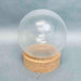 Buchi Round Bottom P+G Coating Flask 1000 ml 35/25 Socket Joint Lot of 2 Flasks Jointed Glassware BUCHI