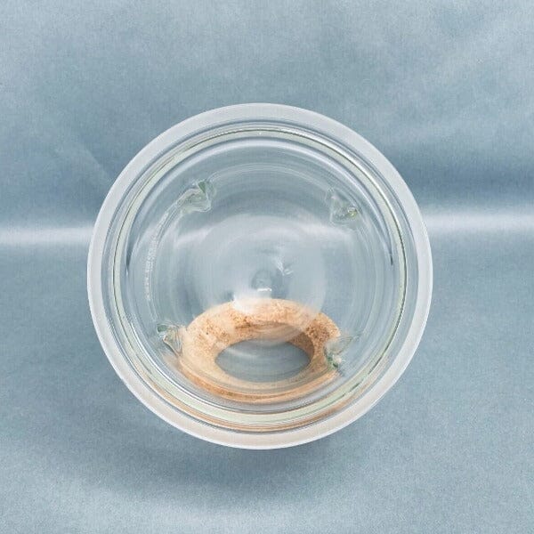 Chemglass Morton Reaction Vessel Cylindrical 2000 ml Volume 150 mm O-ring Flange Glassware Chemglass