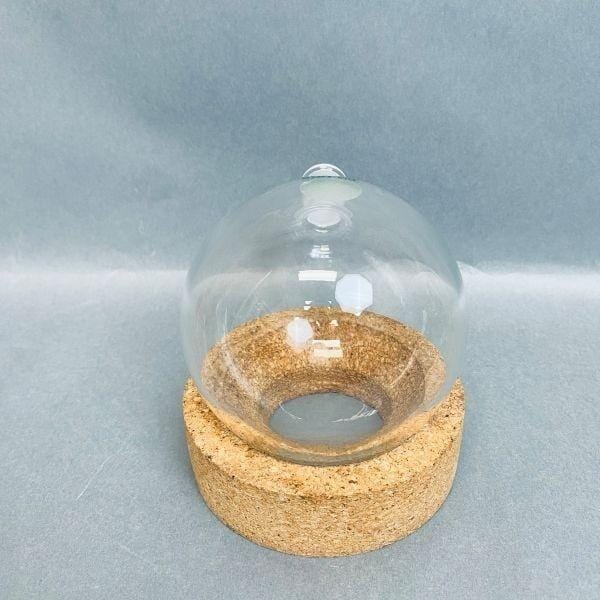 Chemglass Single Neck Round Bottom Flask 14/20 Joint Lot of 2 Flasks Jointed Glassware Chemglass