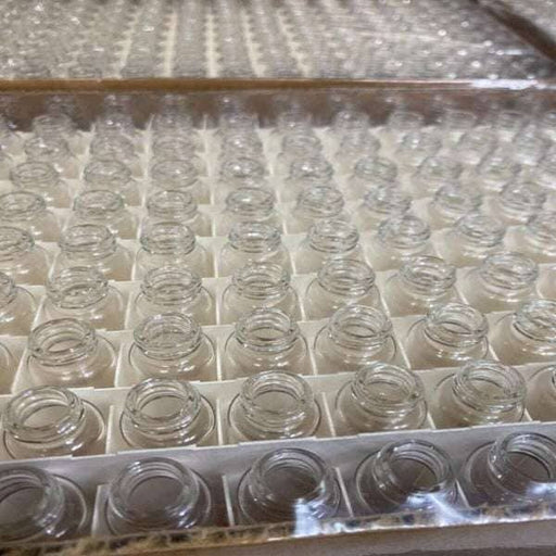 Clear Glass Vial 5 ml with Screw Cap Neck Lot of 591 Vials Lab Consumables::Tubes, Vials, and Flasks VWR