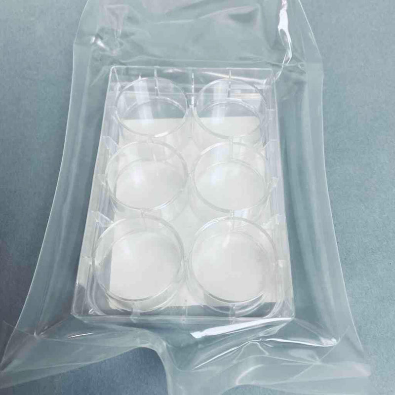 Corning 3471 Costar Microplate 6 Well Ultra-Low Attachment Surface 16.8 ml Polystyrene Case of 24 Plates Petri Dishes/Culture Plates Corning