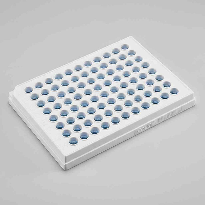 Corning 3610 Microplate 96 Well with Lid White Clear Bottom 48 Plates Petri Dishes/Culture Plates Corning