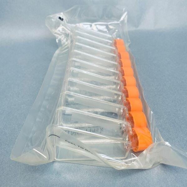 Corning Cell Culture Flask 25 cm2 Angled Neck TC-Treated Lot of 100 Flasks Lab Flasks Corning
