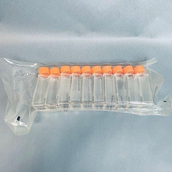 Corning Cell Culture Flask 25 cm2 Angled Neck TC-Treated Lot of 100 Flasks Lab Flasks Corning