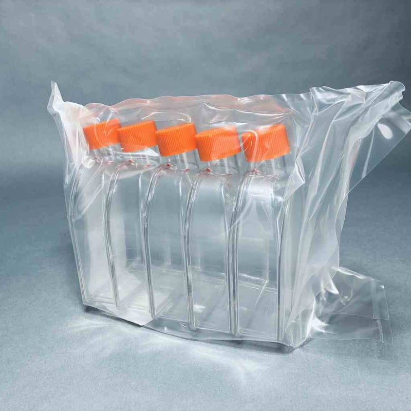 Corning Cell Culture Flask 75 cm2 Canted Neck T-75 with Vent Cap Case of 100 Flasks Lab Culture Flask Corning