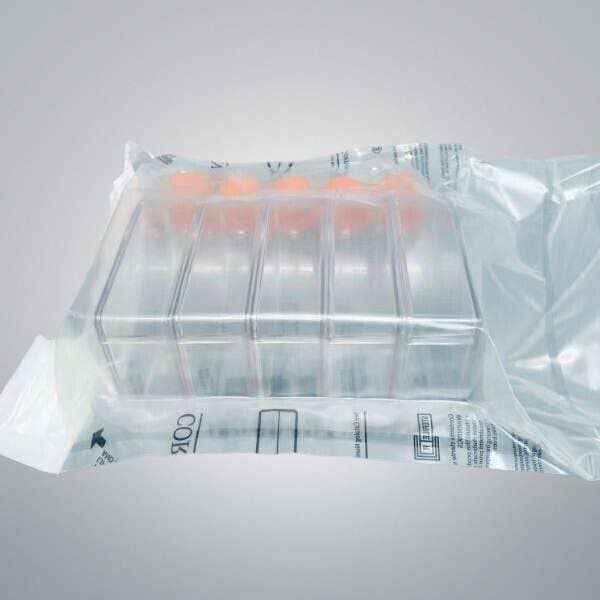 Corning Cell Culture Flask 75 cm2 Canted Neck Treated Case of 100 Flasks Lab Flasks Corning