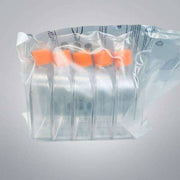 Corning Cell Culture Flask 75 cm2 Canted Neck Treated Case of 100 Flasks Lab Flasks Corning