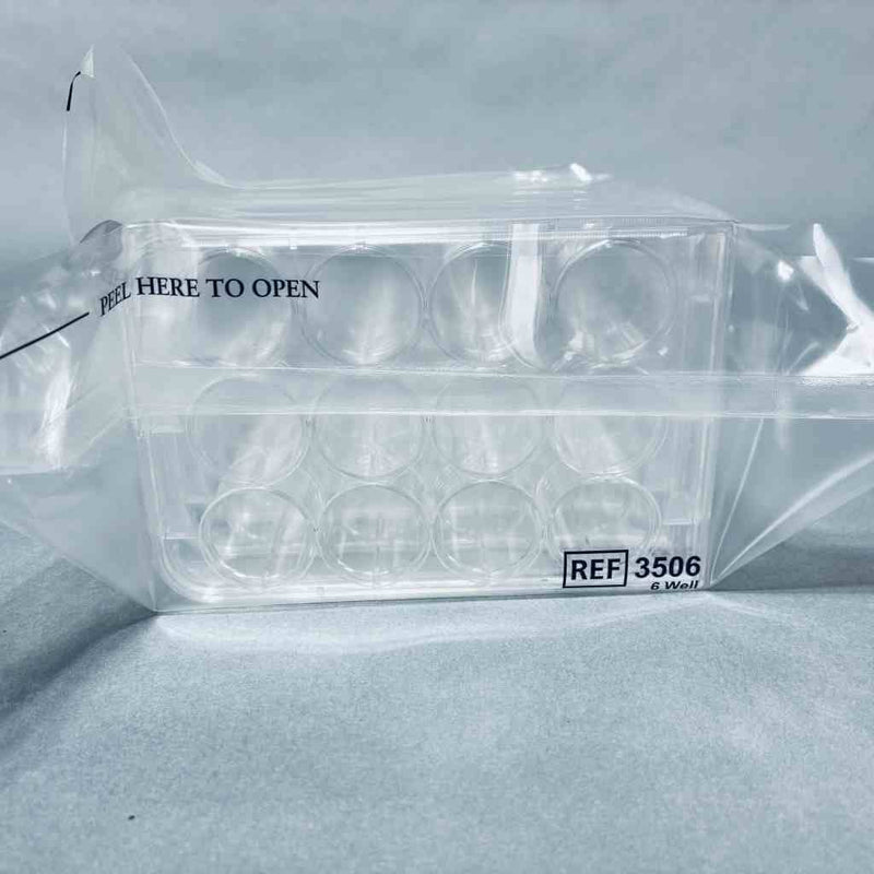 Corning Cell Culture Plate 12 Well Clear Sterile TC-Treated Case of 100 Plates Petri Dishes/Culture Plates Corning