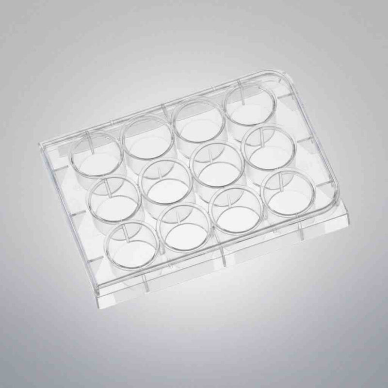Corning Cell Culture Plate 12 Well Clear Sterile TC-Treated Case of 100 Plates Petri Dishes/Culture Plates Corning