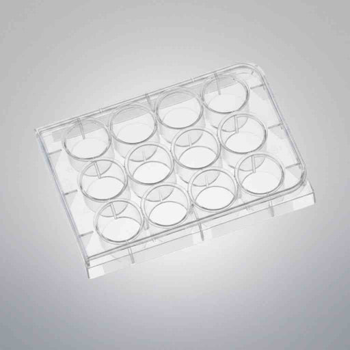 Corning Cell Culture Plate 12 Well Clear Sterile TC-Treated Case of 100 Plates Petri Dishes/Culture Plates Corning