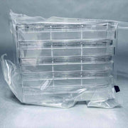 Corning Cell Culture Plate 6-Well TC Treated Case of 100 Plates Petri Dishes/Culture Plates Corning
