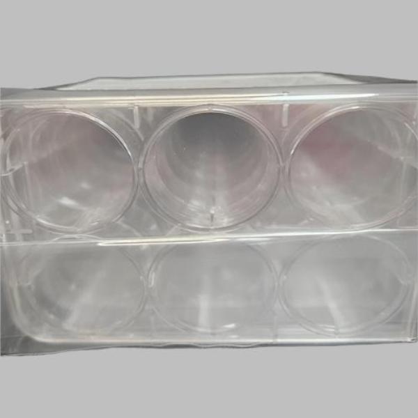 Corning Costar Microplate with Lid 6 Well CellBIND Case of 50 Plates Lab Consumables::Storage and Culture Plates Corning