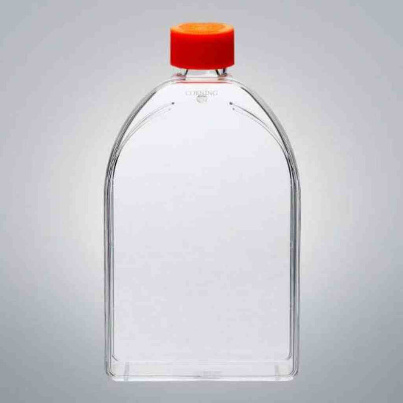 Corning Culture Flask 150 cm2 U-Shaped Canted Neck Vent Cap Case of 50 Flasks Lab Culture Flask Corning