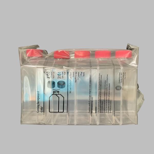 Corning Culture Flask 162 cm2 175 ml Vented Cap PS Sterile Case of 25 Flasks Lab Consumables::Tubes, Vials, and Flasks Corning