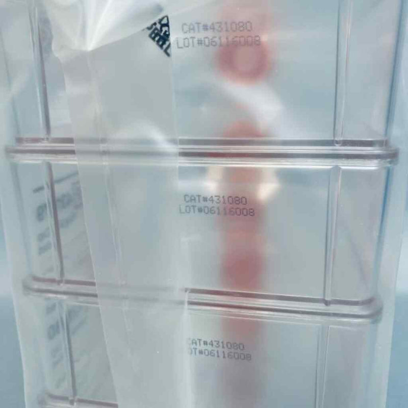 Corning Culture Flask 175 cm2 Vented Cap Angled Neck Sterile Case of 50 Lab Culture Flask Corning