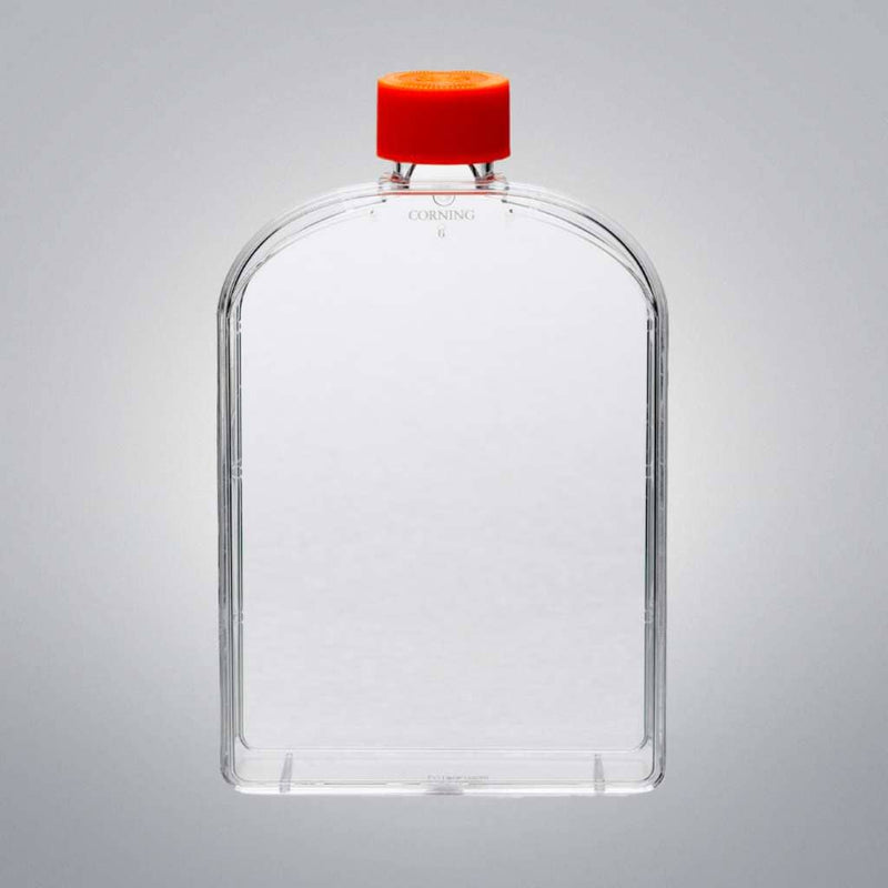 Corning Culture Flask 175 cm2 Vented Cap Angled Neck Sterile Case of 50 Lab Culture Flask Corning