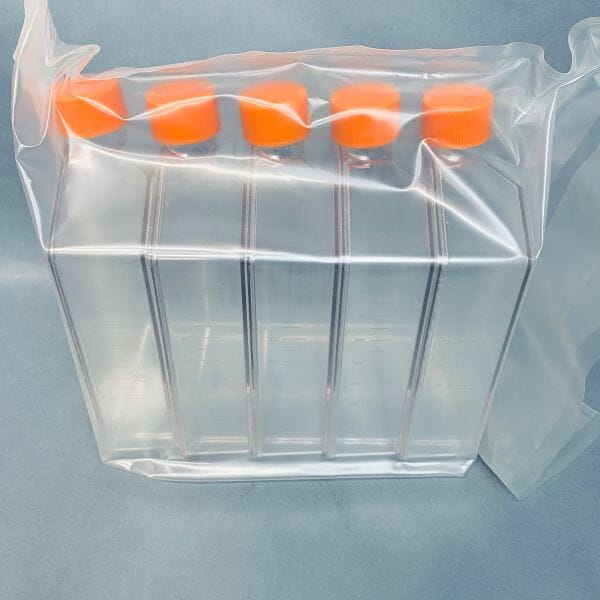 Corning Culture Flask 225 cm2 Canted Neck with Vent Cap Sealed Case of 25 Flasks Lab Consumables::Tubes, Vials, and Flasks Corning
