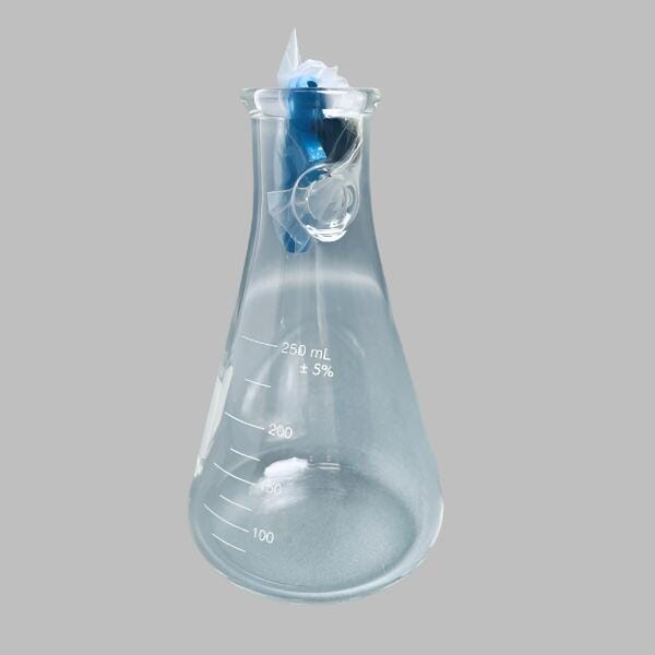 Corning Filtering Flask 250 ml with Replaceable Tubulation Total of 2 Flasks Glassware Corning
