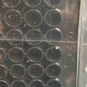 Corning Microplate 96 Well Black 50 Plates Petri Dishes/Culture Plates Corning