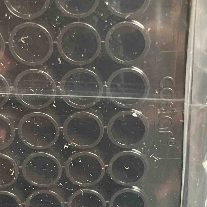 Corning Microplate 96 Well Black 50 Plates Petri Dishes/Culture Plates Corning