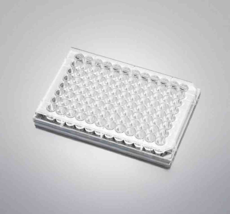 Corning Microplate Collagen I 96 Well Clear Flat Bottom with Lid 5 Plates Petri Dishes/Culture Plates Corning