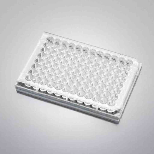 Corning Microplate Collagen I 96 Well Clear Flat Bottom with Lid 5 Plates Petri Dishes/Culture Plates Corning